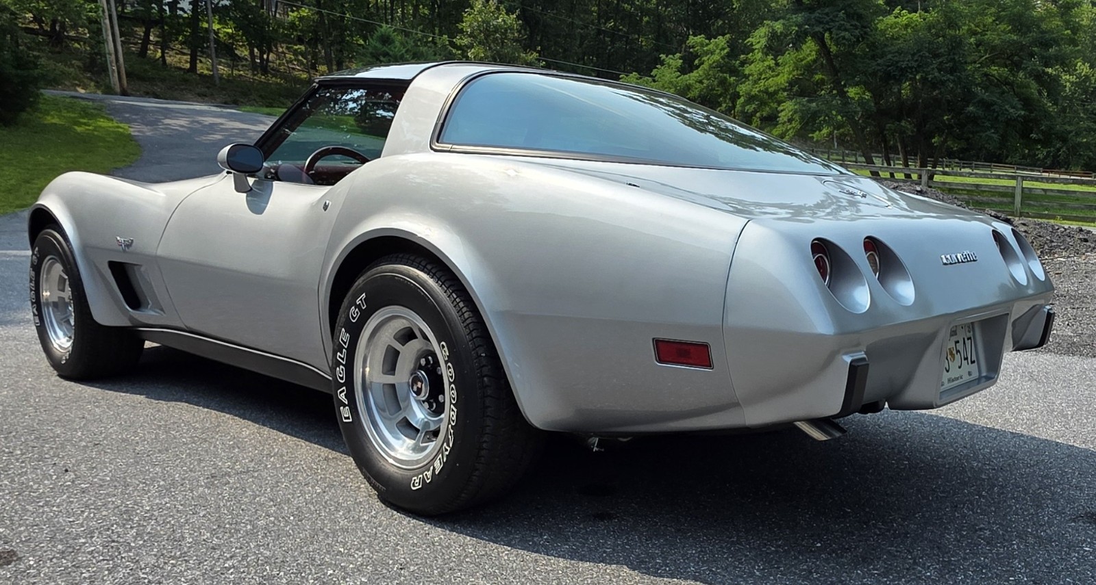 1979 Silver Chevrolet Corvette   | C3 Corvette Photo 5