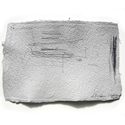 Ink drawing handmade paper my daily waste Prof A. Loeschner-Gornau