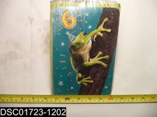 QTY 4: 6398656 6 6 Frog Birthday Card CJU06388745P -Envelope Inc
