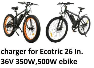 Ecotric Electric Bike Battery Battery For Ecotric Rocket, Leopard