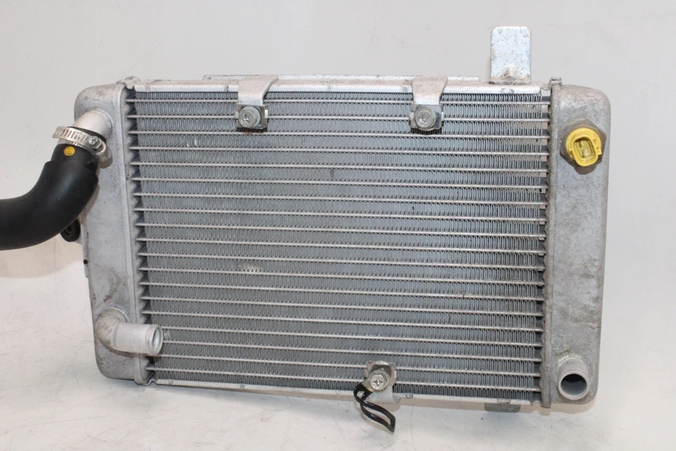 03-06 SUZUKI BURGMAN AN400S OEM MOTOR RADIADOR MOTOR ENFRIADOR RADIADOR DE REFRIGERACIÓN Foto 2 de 4