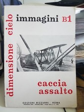 regia aereonautica caccia assalto immagini dimensione cielo