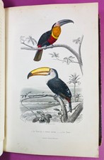 BUFFON - FLOURENS - Nouvelle galerie d'histoire naturelle - 1885 - Bon état