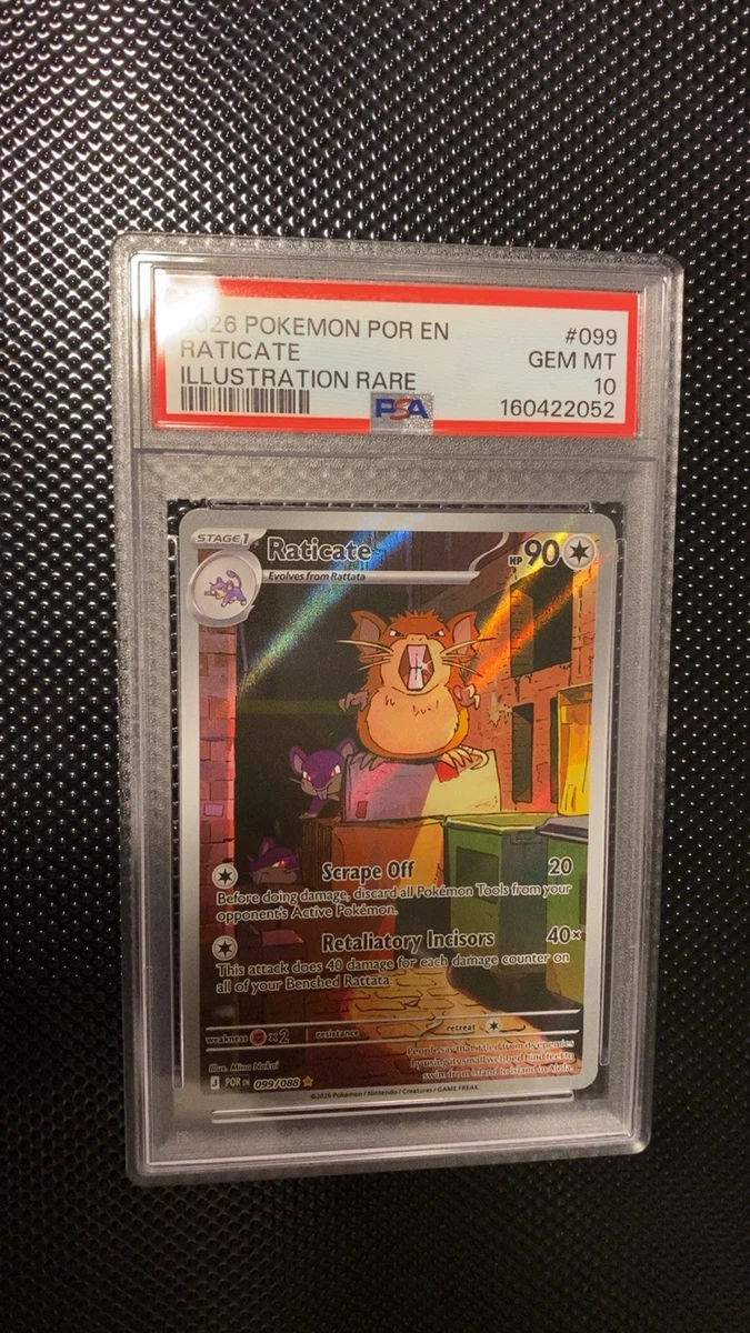 Raticate Pokémon TCG Cards for sale | eBay