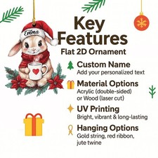 Custom Name Cute Rat with Gift Box Christmas Personalized Acrylic Ornament