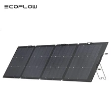 EcoFlow 220W Bifacial Solar Panel Kit Waterproof IP68 for Outdoor Camping RV
