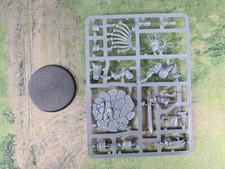 Gardus Steel Soul - Warhammer Age of Sigmar Stromcast Eternals