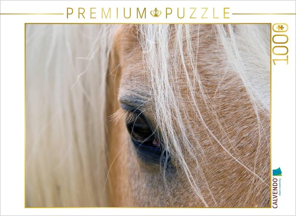 Calvendo Puzzle Haflingerportrait | 1000 Teile Lege-GrößE 64X48Cm Foto-Puzzle Fü-image
