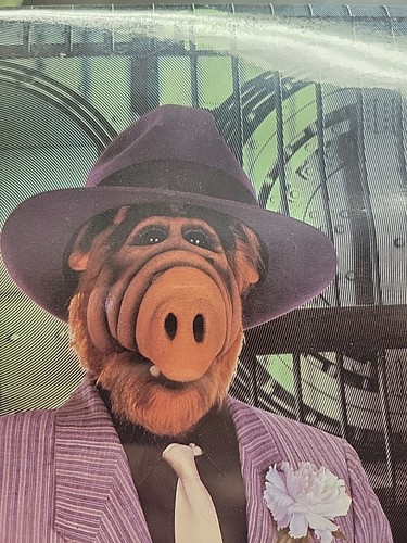 Vintage 1980s ALF The Alien's Dream Calendar 1989 Deadstock NOS 12x12 Sealed - Imagen 11 de 11