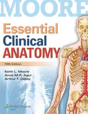 Essential Clinical Anatomy - Paperback - ACCEPTABLE