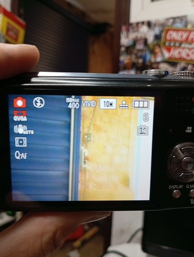 Panasonic LUMIX DMC-TZ7 10.1 MP Compact Digital Camera Black With Case - Picture 8 of 14