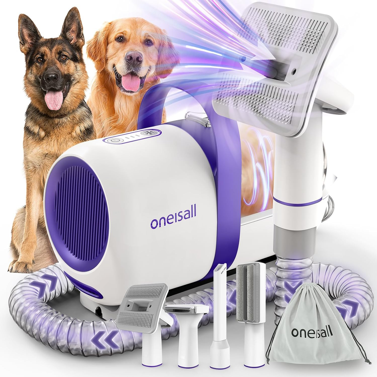 Cane Aspirapolvere Con Spazzola Professionale 12000Pa Kit Completo