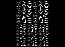 Tiny Birds in Flight 155 pcs White Fused Glass Decals