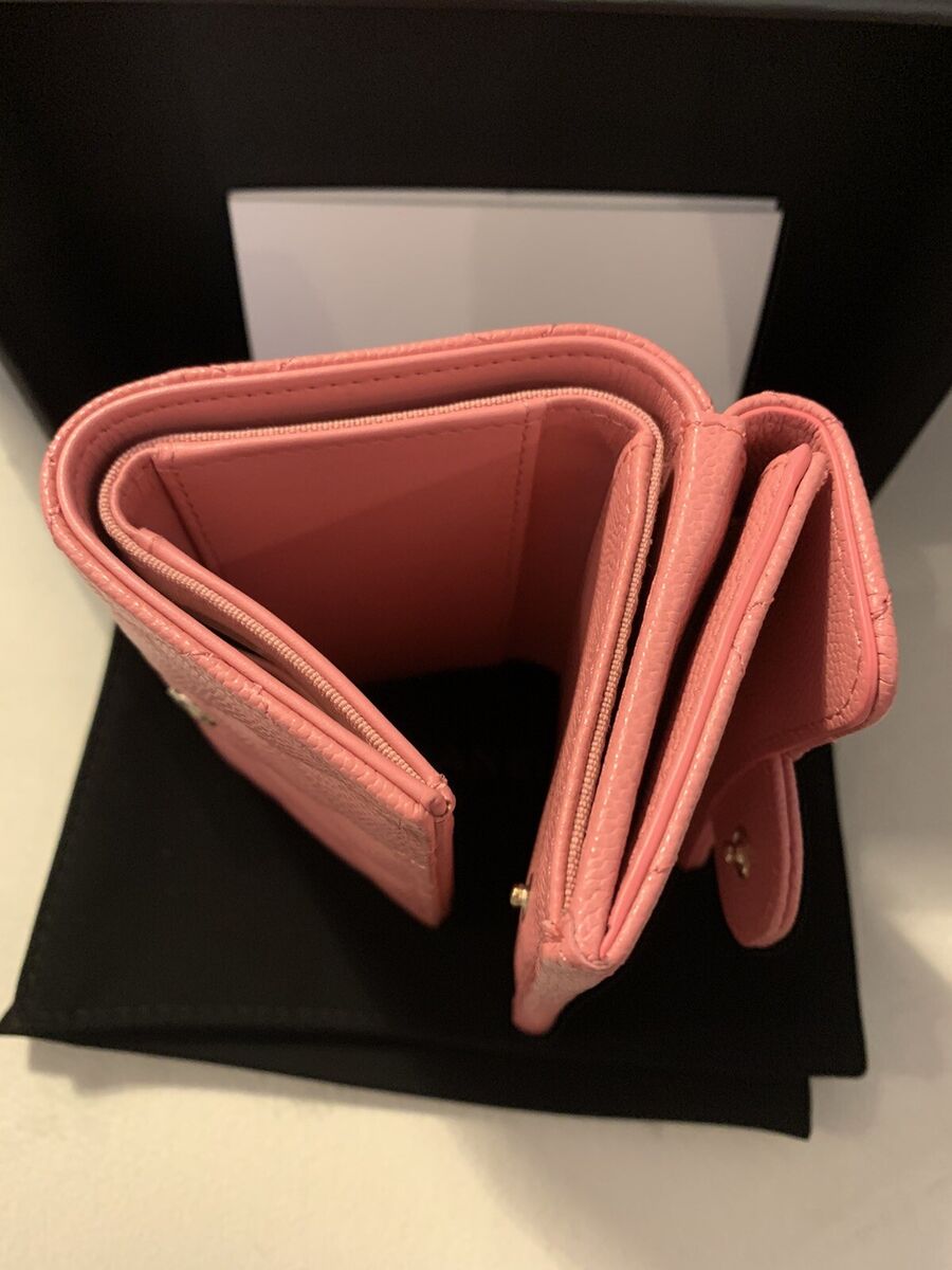 Chanel Classic Pink Small Flap Wallet New Model # NNA824K7