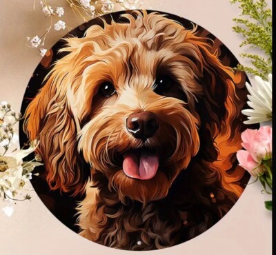 CAVAPOO COCKAPOO DOG 2D METAL Picture Plaque Wall Birthday GIFT Present ...