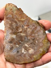 Coprolite Petrified Dino DoDo Slab Cabbing Lapidary Utah Combo Ship Avail