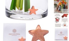 Flower Food Alternative for Fresh Cut Flowers. Copper Charm Pack of 1 Star