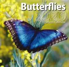 2026 Butterflies 16-month (Sept 2025 through Dec 2026) 12"x12" Wall Calendar