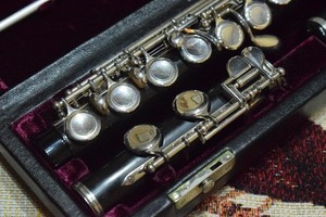 Hammig Flute | eBay