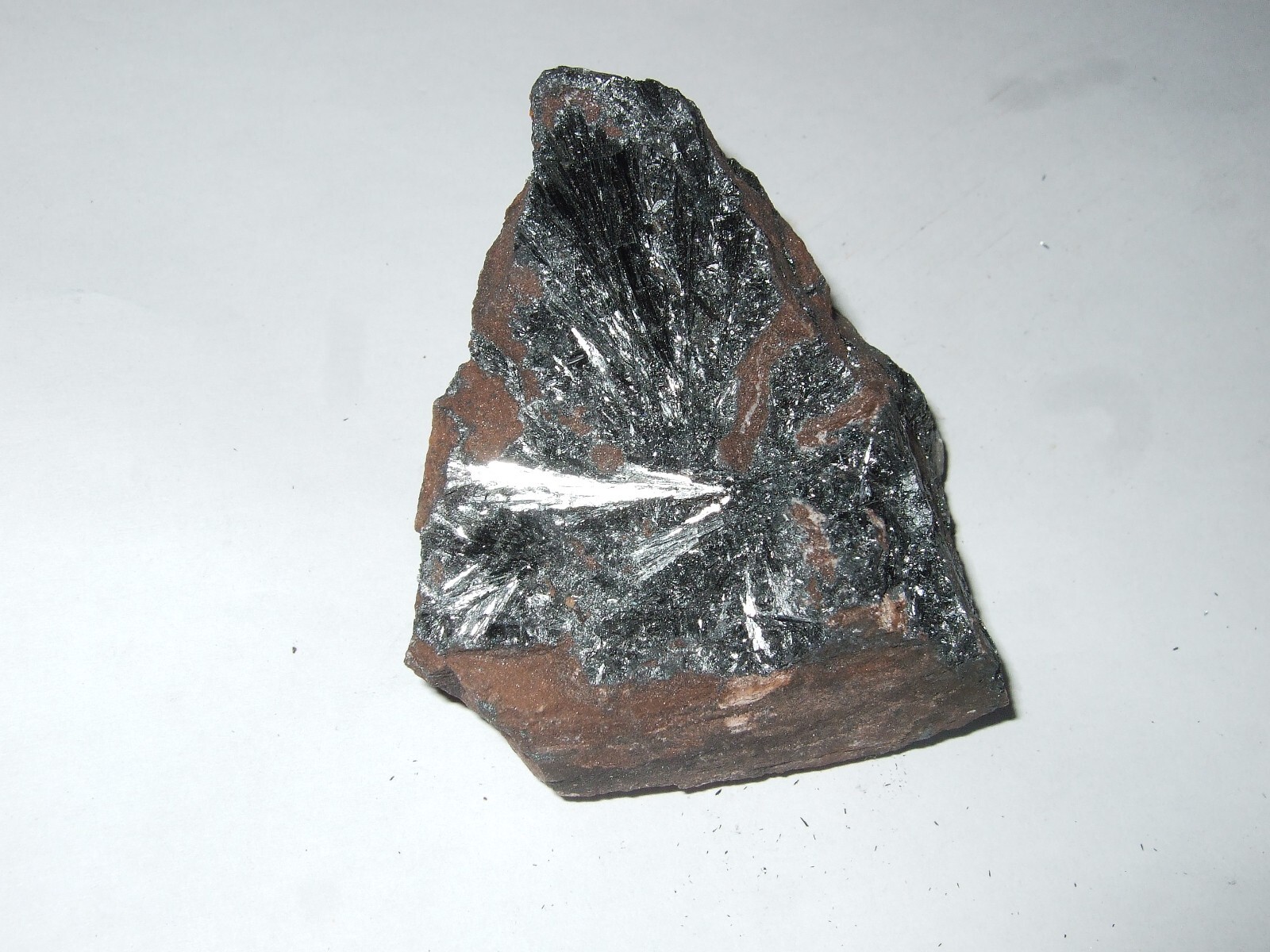 Picture 1 of 5