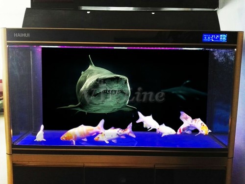 Aquarium Background Poster Shark HD Fish Tank Decorations Landscape 24 36 48 72 - Picture 5 of 6
