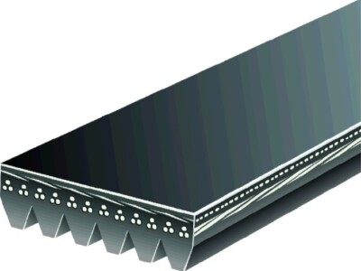 Automotive V-Ribbed Belt (Standard) K06 13/16'' x 102 5/8'' 5061020DR Drive-Rite