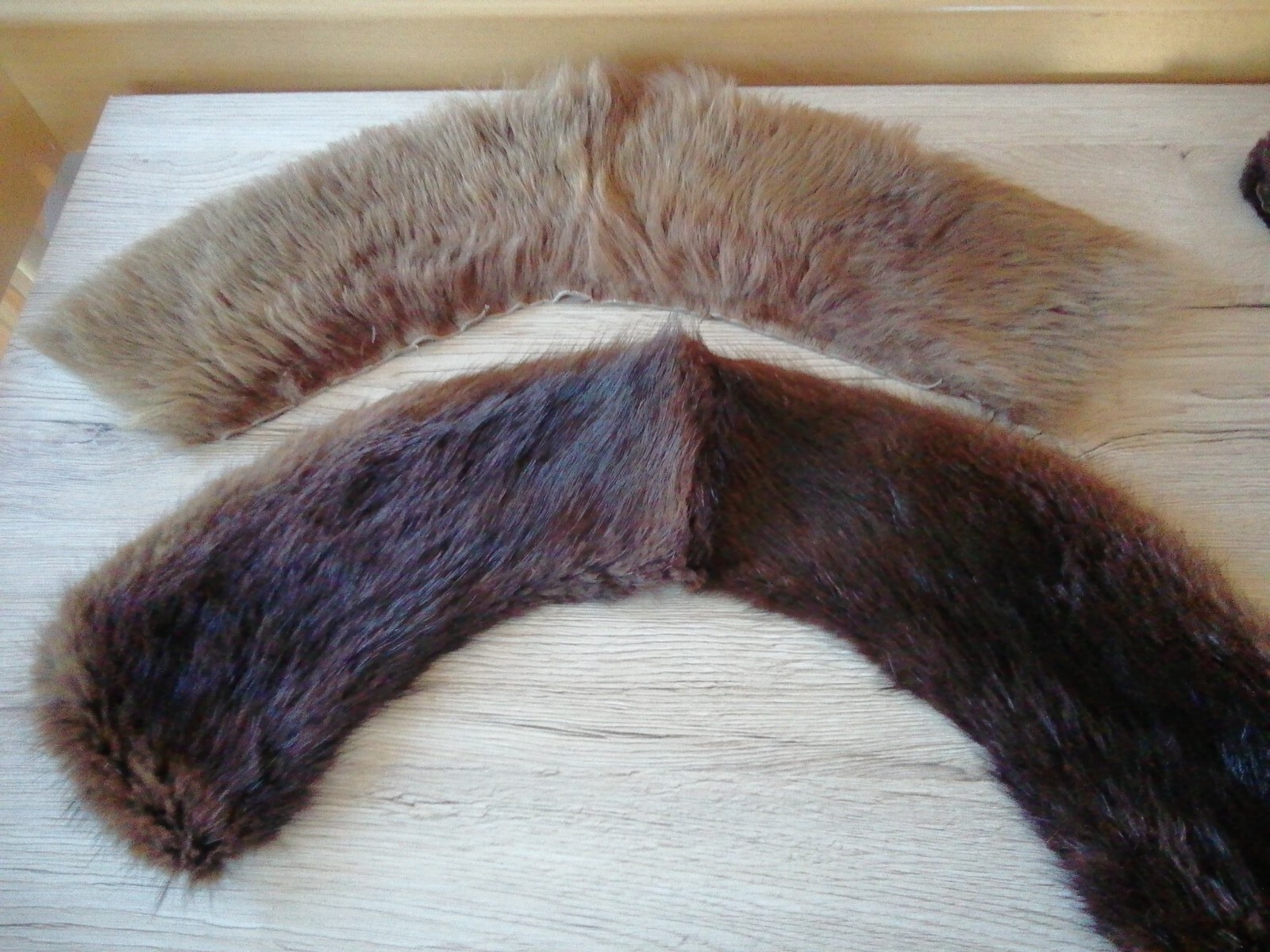 Bild 5 von 8