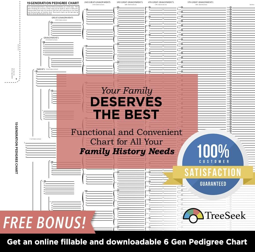 Family Tree Wall Decor 15 PACK 17X22 Inch Family Tree Charts To Fill In ...