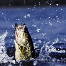 100pcs Circle Fishing Hooks 5# 5/0 Ultra Sharp Carbon Steel Octopus Offset****