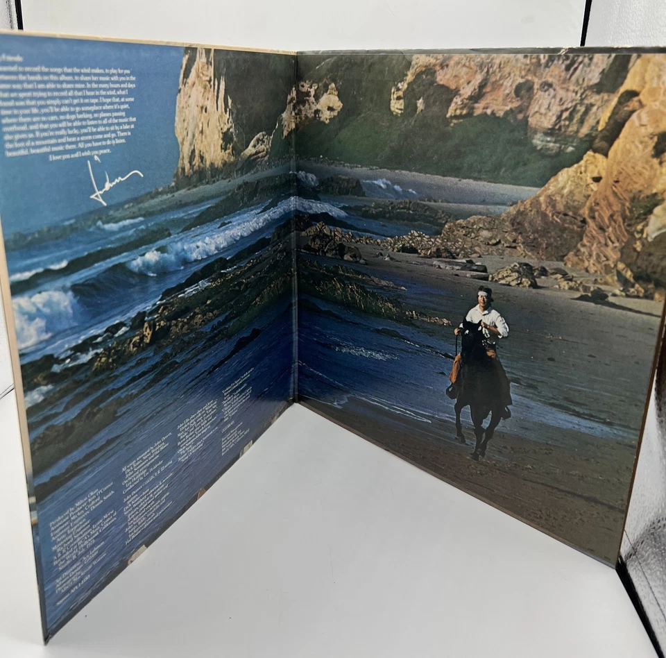 John Denver Vinyl LP Windsong 1975 RCA Folk Rock Classic Album Original Pressing Foto 3 de 4