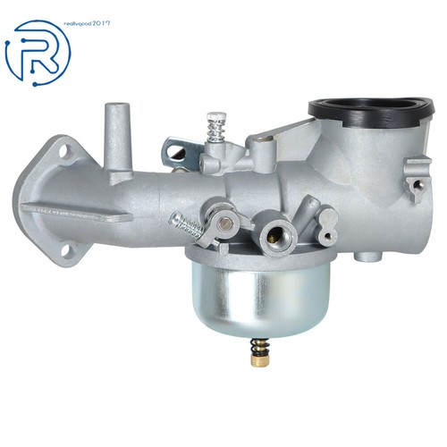 CARBURETOR w/ GASKETS Fit For Briggs & Stratton 252702 252707 253702 253706 - Picture 3 of 9