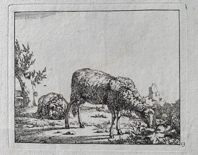 Marcus de Bye (Dutch 1639-1690) Schaap (sheep) Etching after Paulus Potter 1647