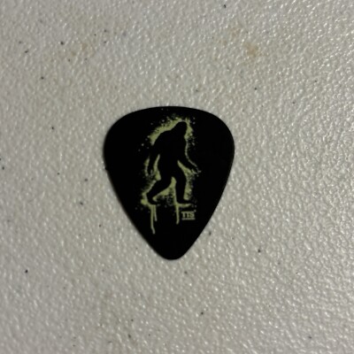Blink 182 Tom Delonge 2024 Guitar Pick One More Time Tour VHTF