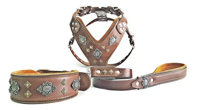 aztec dog harness