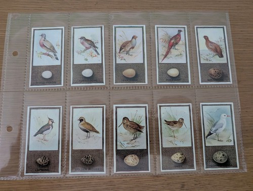 Godfrey Phillips.."BRITISH BIRDS and THEIR EGGS"..Complete Set 50...Issued 1936 - Picture 9 of 10