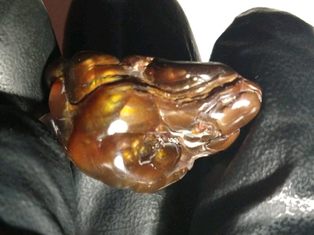 fire agate products for sale | eBay