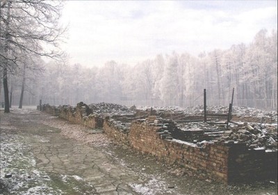 Auschwitz-Birkenau Reste Gaskammer V Postkarte Polen Holocaust Mahnmal
