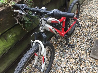 fuji kids mountain bike