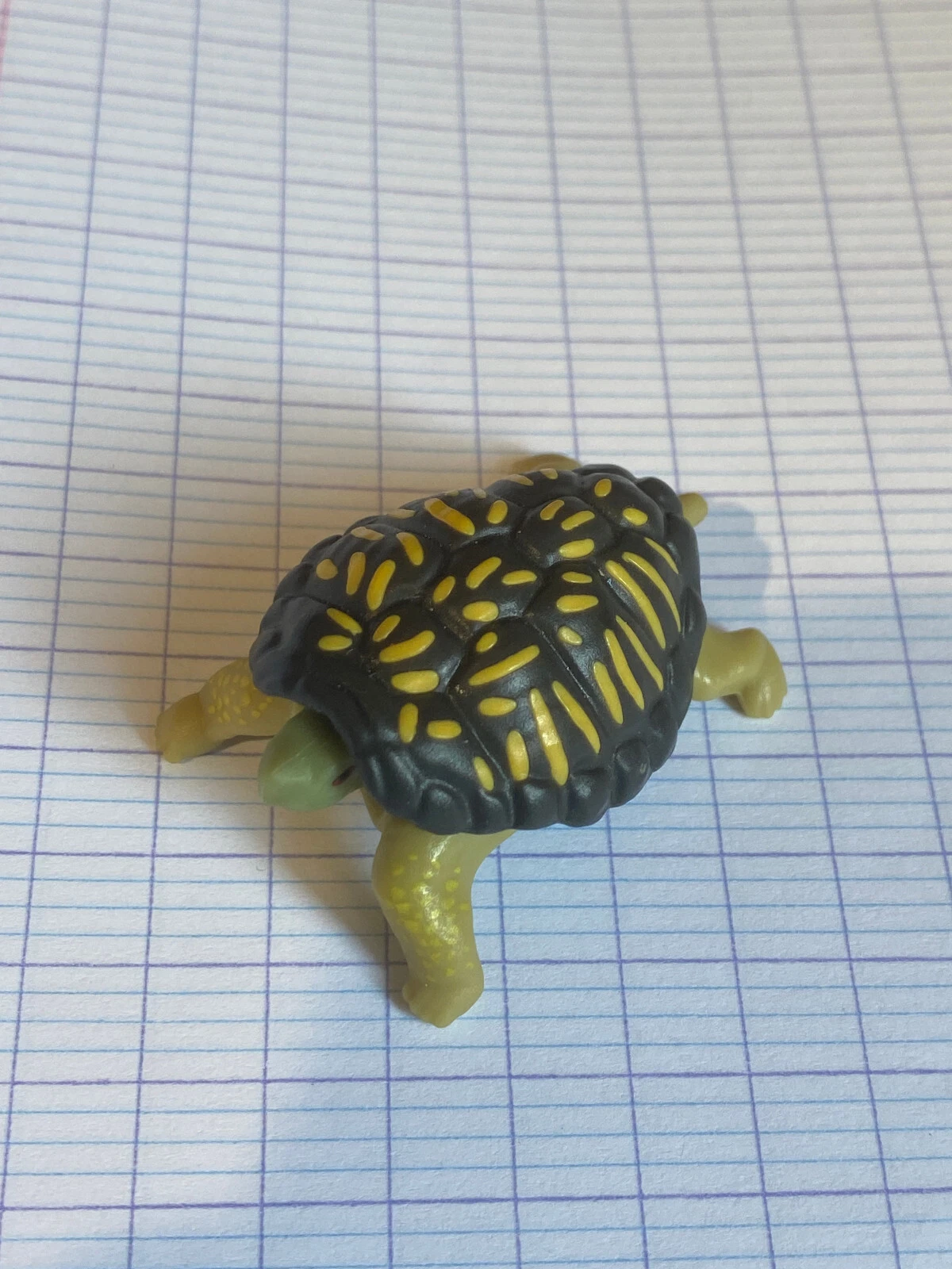Photo 1/1
