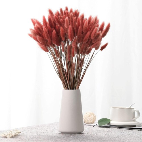 Natural Bunny Tails Dried Flowers - 120 PCS Rabbit Tail Grass, Lagurus Ovatus