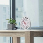 Foto 7 di 12