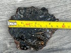 Picture 12 of 13