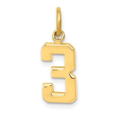 14 Karat Gelbgold kleine polierte Nummer 3 Charm Halskette Damen
