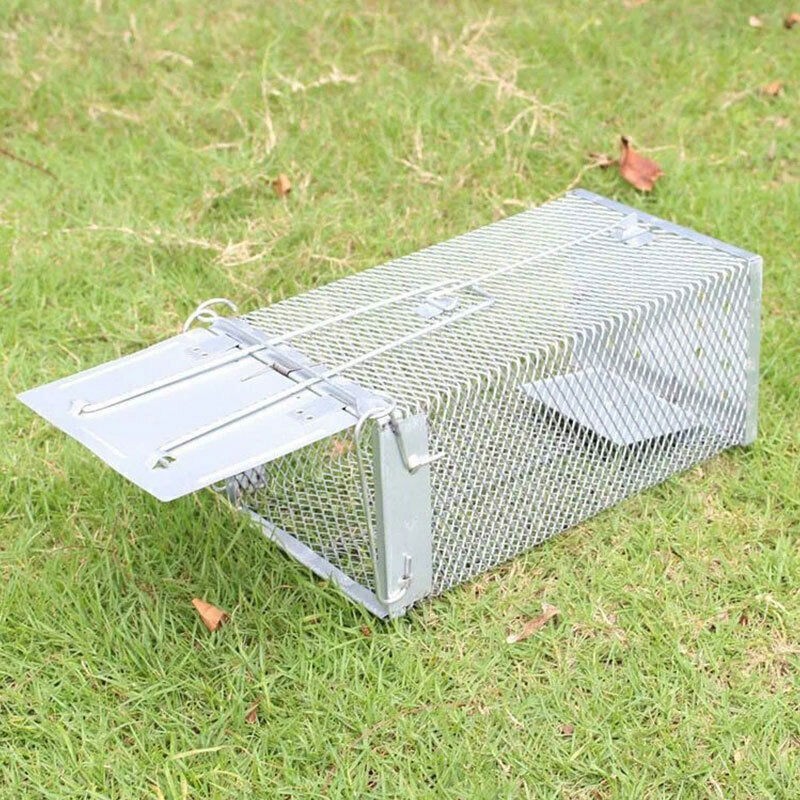 New Cage Trap Live Humane for Squirrel Chipmunk Rat Mice Rodent Animal Catcher⭐