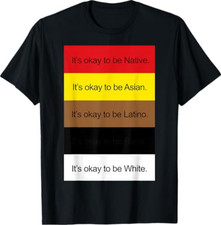 Its Okay to Be Native Asian Latino and White ...