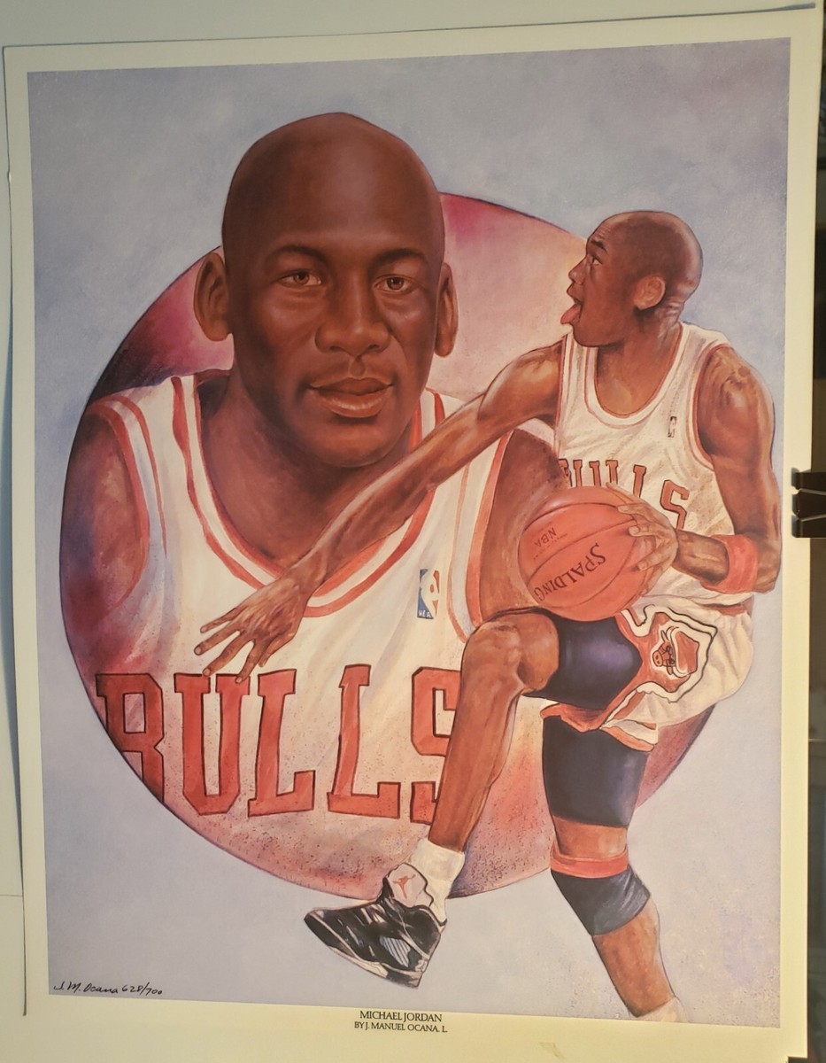 Michael Jordan 20 x 16