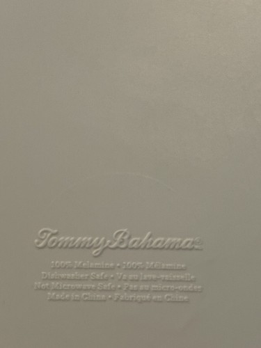 Tommy Bahama 4 Piece Set Wood Grain Look Melamine Plates Chargers Boho 11" - Picture 4 of 5
