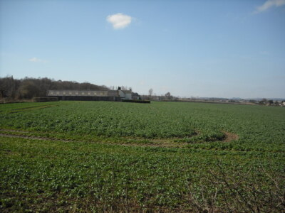 #ad Photo 6x4 Young crop at Lookaboutye Burnside NT0971 Likely to be oil see c2009 GBP 2.00