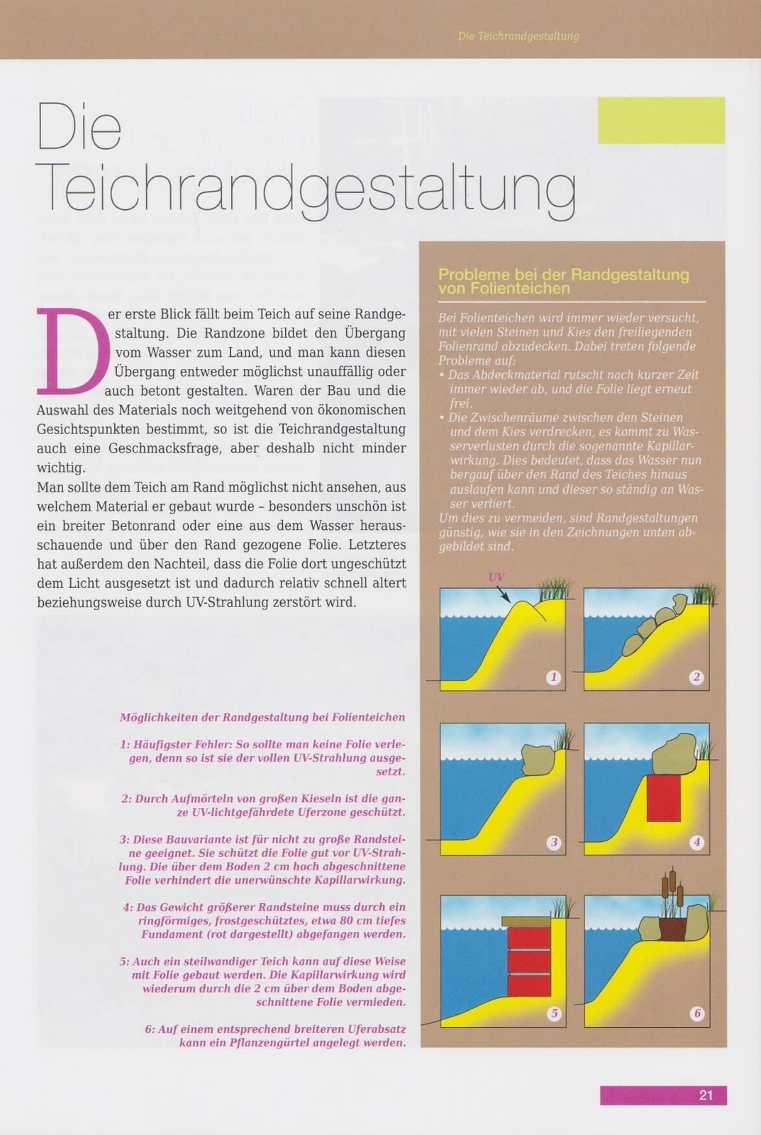 Thumbnail - Repräsentative Gartenteiche Und Wassergärten Bernhard Teichfischer
