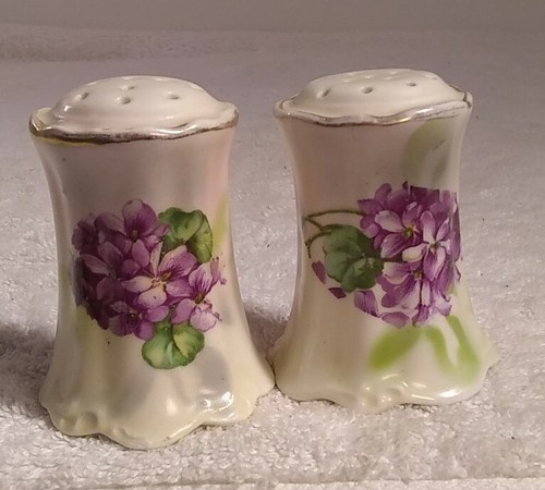 ANTIQUE RARE ART PORCELAIN PAINTED Salt and Pepper Shaker BY ERDMAN SCHLEGELMICH
